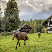 110 bâtiments historiques originaires de toutes les régions de Suisse, 200 animaux de ferme et des artisanats anciens: le Ballenberg vous invite à découvrir les nombreuses facettes de la Suisse. 
