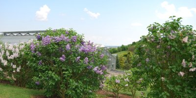 Conservatoire et Jardins botaniques de Nancy