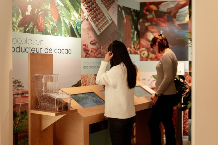 Découverte de nos plantations de cacaoyers en Equateur