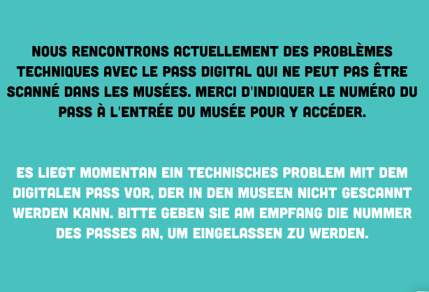 Technisches Problem digitaler Pass