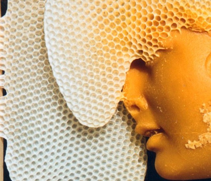 Face nestles against honeycombs