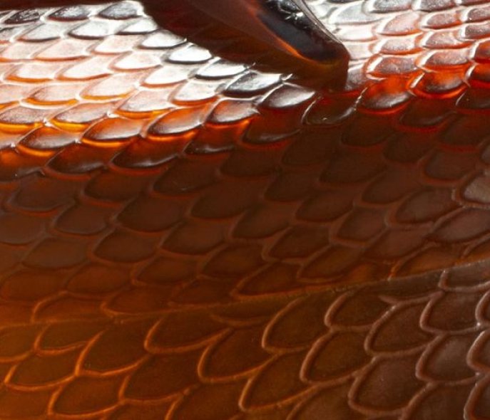 Vase Serpent en verre rouge - le gros serpent dont on voit les écailles est enroulé autour d'un vase rond et a la gueule ouverte au niveau du col du vase