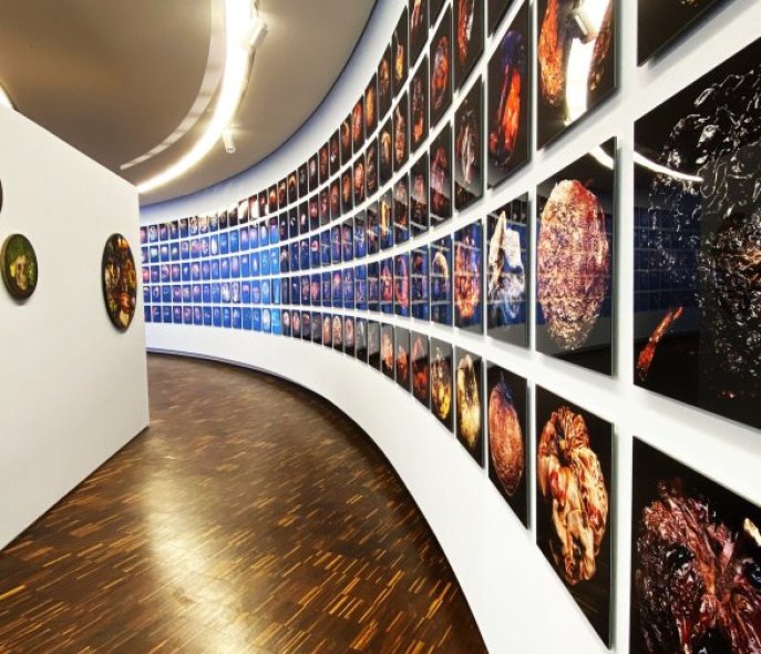 Exhibition view, many pictures on one wall