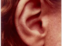 Isa Genzken, Ear, 1980 Chromogenic colour print on chipboard in artist's frame Courtesy Galerie Buchholz © 2022 ProLitteris Zurich