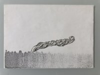 Alex Silber, Déforestation de la jungle – Son et fumée, 1971, © Alex Silber