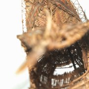 Kultfigur: Das Verschlingungsungeheuer kaia imunu aus Papua-Neuguinea © MKB, Omar Lemke Kultfigur: Das Verschlingungsungeheuer kaia imunu aus Papua-Neuguinea ist über drei Meter lang