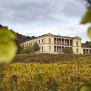 Schloss Villa Ludwigshöhe