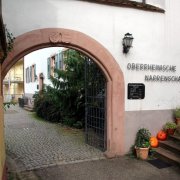 © All rights reserved Oberrheinische Narrenschau
