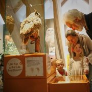 © All rights reserved Museum im Ritterhaus