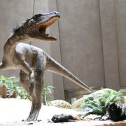 © All rights reserved Staatliches Museum für Naturkunde Stuttgart