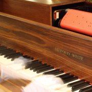 Eine Generation von bedeutenden Künstlern spielte Musik mittels spezieller Aufnahmeverfahren für selbstspielende Klaviere ein. 