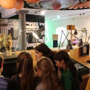 Experimentieren und forschen im Museum.BL Experimentieren und forschen im Museum.BL