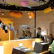 Forschen und experimentieren im Museum.BL Forschen und experimentieren im Museum.BL