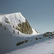 Vier Bergsteiger beim Aufstieg auf das Sustenhorn, 4.7.1943. Theodor Strübin, Sammlung Sammlung Historische Fotografie, Archäologie und Museum Baselland Vier Bergsteiger beim Aufstieg auf das Sustenhorn, 4.7.1943. Theodor Strübin, Sammlung Sammlung Historische Fotografie, Archäologie und Museum Baselland