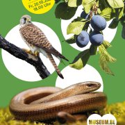 Neue Naturschätze Neue Naturschätze
