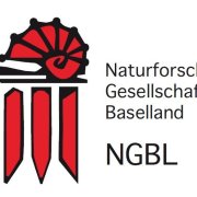NGBL Logo NGBL Logo