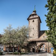 Bild vom Storchenturm-Museum mit Turm und Torbogen