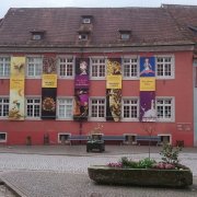 "Von Blüte zu Blüte" die aktuelle Ausstellung im Museum Haus Löwenberg Aussenansicht Museum