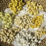 Faszination Seide auf dem Ballenberg Faszination Seide auf dem Ballenberg