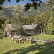© All rights reserved Ballenberg, Swiss Open-Air Museum