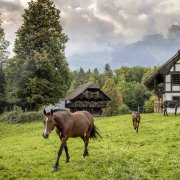 Über 100 historische Gebäude, zahlreiche Handwerke und über 200 Bauernhoftiere können im Freilichtmuseum Ballenberg entdeckt werden.