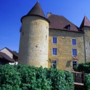 Le Musée de la vigne et du vin du Jura est installé dans le Château Pécauld