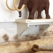 Museum in der 'Alten Schule'