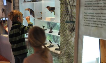 Exotische Vögel. Sammlungen Archäologie und Museum Baselland. Foto © Museum.BL