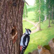 © Alle Rechte vorbehalten Wald - Land - Fluss