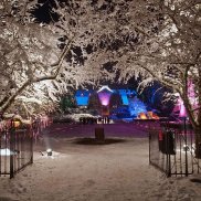 Noël au Jardin Noël au Jardin