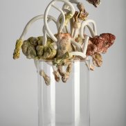 Porzellan, bemalt Pascale Klingelschmitt
