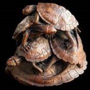Japanische Schildkröten Japanische Schildkröten