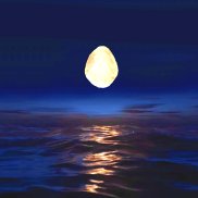 Mirco P. Slongo: The Island is a Reflection