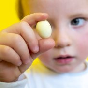 Museum Natur und Mensch, Vom Ei zum Küken, Foto: Patrick Seeger