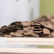 Archäologisches Museum Colombischlössle