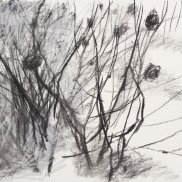 Grafik von Joachim Dietrich