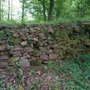 Ringmauer Burg Neu-Waldeck