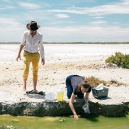 Atelier Luma, harvesting algae in Camargue, 2018 © Victor Picon, Atelier Luma / Luma Arles Atelier Luma, harvesting algae in Camargue, 2018 © Victor Picon, Atelier Luma / Luma Arles