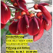 Blumen in Schloss Favorite