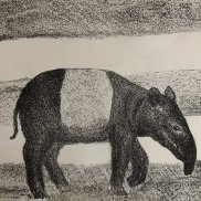 Arbeit von Anna Vogel