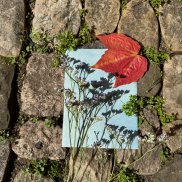 Rotes Blatt und Pflänzchen auf Papier