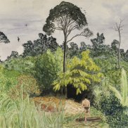 Painted rain forest with various trees and plants under grey sky, one man is walking into the forest at the bottom of the picture.