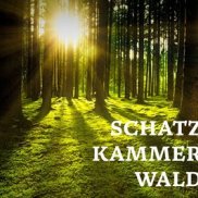 Schatzkammer Wald 