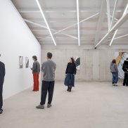 Kunsthaus Baselland. Sounding the Interior. Mireille Blanc.