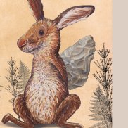 Gwunderhaas Museum.BL & KBL_Illustration, Kathrin Schärer