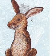 Gwunderhaas Museum.BL & KBL_Illustration, Kathrin Schärer