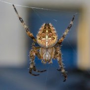 Theaterführung «Fix it!» Museum.BL