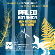 Affiche de l'exposition Paleobotanica - Aux racines du vivant, comportant des fougères, un dinosaure et une libellule géante