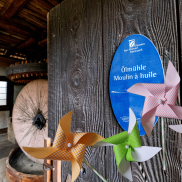 Blick in die Historische Ölmühle des Riedmuseums auf den Mühlstein