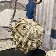 Karola Kauffmann, Cocons, 2021 Foto: Ruedi Suter